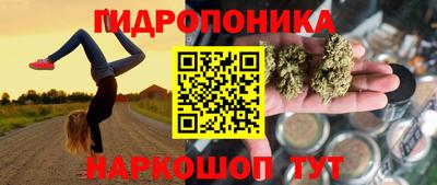 ешки Будённовск
