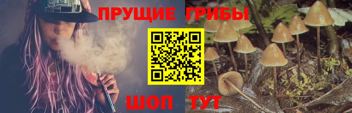 Псилоцибиновые грибы MAGIC MUSHROOMS Тара